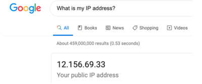 Google_my_ip_address-S__2_.png